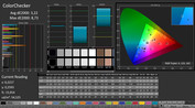 CalMAN: ColorChecker (post calibration)