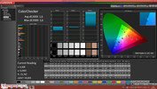 CalMAN: ColorChecker post-calibration