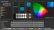 CalMAN: ColorChecker (post-calibration)