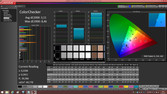 CalMAN ColorChecker with profile