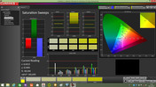 CalMAN - Saturation Sweeps (calibrated)