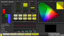 CalMAN: Saturation Sweeps (calibrated)