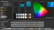 CalMAN: ColorChecker (calibrated)