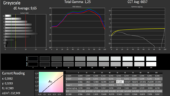 CalMan Grey levels