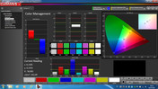 CalMAN Color Management