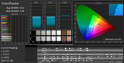 CalMAN ColorChecker (factory settings)