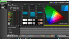 CalMAN - ColorChecker