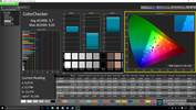 CalMAN ColorChecker post-calibration