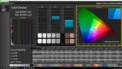 ColorChecker (post calibration)