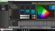 CalMAN ColorChecker with calibration