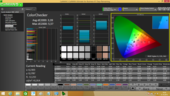 CalMAN - Color Checker (after calibration)