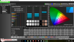 CalMAN: ColorChecker (post-calibration)