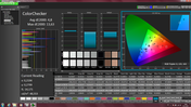 CalMAN - ColorChecker (calibrated)