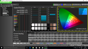 CalMAN ColorChecker post calibration