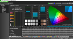 CalMAN - ColorChecker post-calibration