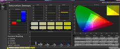 CalMan: Saturation Sweeps calibrated