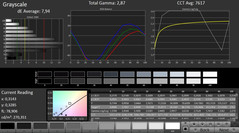 CalMAN: Grayscale (Designer)