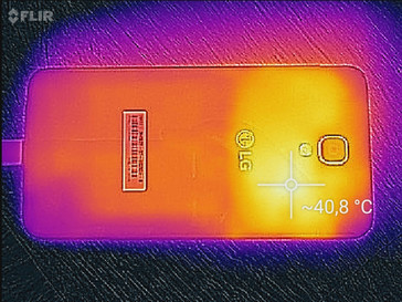 Heat map back