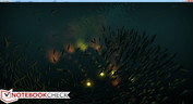 This free demo - called "Flocking" - attracts fish with (illuminated) fingers.