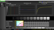 CalMAN Grey Levels calibrated/profiled