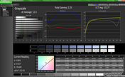 Grayscale pre-calibration