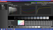 Calman 5.1 Software: Grayscale