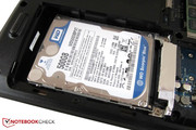 The two HDDs offer a respectable performance.