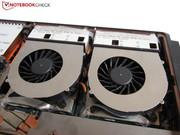 Two GeForce graphics card provide a lot of power.