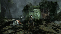 The thick vegetation and crisp shadows fill you with wonder.