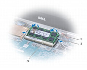Graphic Dell: 1 RAM-Slot can be equipped