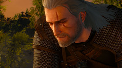 The Witcher 3