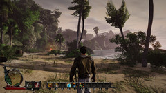 Risen 3