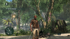 Assassin's Creed IV: Black Flag