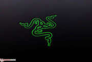 Mandatory: Razer tribal logo on the display cover.