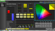 CalMAN Color Saturation (without calibration)