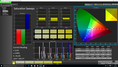 CalMAN Saturation Sweeps pre-calibration