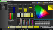 CalMAN Saturation Sweeps pre-calibration