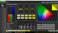 CalMAN Saturation (factory settings)