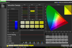 CalMAN - Saturation Sweeps (post-calibration)