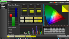 CalMAN - Saturation Sweeps (calibrated)