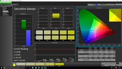 CalMAN - Saturation Sweeps (calibrated)