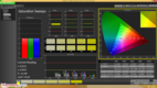 CalMAN: Saturation Sweeps calibrated