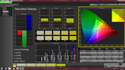 CalMAN - Saturation Sweeps (calibrated)