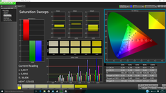 CalMAN Saturation Sweeps after calibration