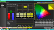 CalMAN: Saturation Sweeps post-calibration