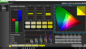 CalMAN Saturation Sweeps post-calibration