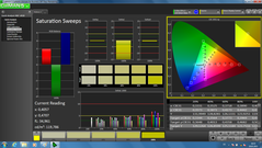 CalMAN - Saturation Sweeps (calibrated)