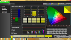 CalMAN - Color saturation (after calibration)