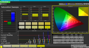 CalMAN: Saturation Sweeps (calibrated)