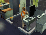 The Sims 3: only playable in 800x600, low details